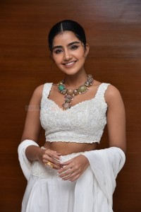 Cute Anupama Parameswaran at Karthikeya 2 Press Meet Photos 23