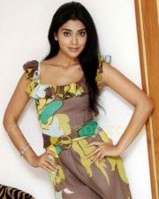 Cute Sexy Shriya Stills