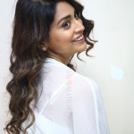Cute Shriya Saran at Gamanam Success Meet Event Photos 04 Cute Shriya Saran at Gamanam Success Meet Event Photos 04
