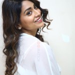 Cute Shriya Saran at Gamanam Success Meet Event Photos 05 Cute Shriya Saran at Gamanam Success Meet Event Photos 05
