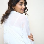 Cute Shriya Saran at Gamanam Success Meet Event Photos 12 Cute Shriya Saran at Gamanam Success Meet Event Photos 12