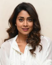 Cute Shriya Saran at Gamanam Success Meet Event Photos 28 Cute Shriya Saran at Gamanam Success Meet Event Photos 28