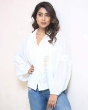 Cute Shriya Saran at Gamanam Success Meet Event Photos 35 Cute Shriya Saran at Gamanam Success Meet Event Photos 35