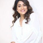 Cute Shriya Saran at Gamanam Success Meet Event Photos 37 Cute Shriya Saran at Gamanam Success Meet Event Photos 37