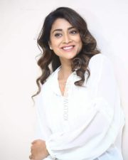 Cute Shriya Saran at Gamanam Success Meet Event Photos 37 Cute Shriya Saran at Gamanam Success Meet Event Photos 37