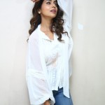 Cute Shriya Saran at Gamanam Success Meet Event Photos 52 Cute Shriya Saran at Gamanam Success Meet Event Photos 52