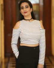 Darsakudu Heroine Manjusha Pictures