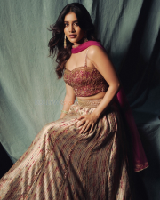 Dazzling Actress Nabha Natesh in a Magenta Embroidered Lehenga Photos 03