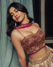 Dazzling Actress Nabha Natesh in a Magenta Embroidered Lehenga Photos 06