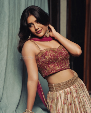 Dazzling Actress Nabha Natesh in a Magenta Embroidered Lehenga Photos 08