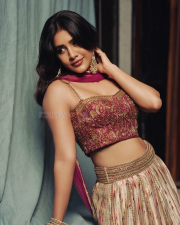 Dazzling Actress Nabha Natesh in a Magenta Embroidered Lehenga Photos 08