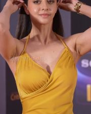 Dazzling Actress Vedhika Kumar in a Mustard Yellow Deep V Halter Gown Photos 01 Dazzling Actress Vedhika Kumar in a Mustard Yellow Deep V Halter Gown Photos 01