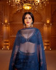 Dazzling Nabha Natesh in a Royal Blue Embroidered Lehenga Photos 08