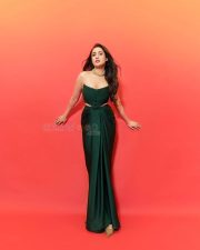 Dazzling Pragya Jaiswal in a Green Strapless Corset Dress Photos 06