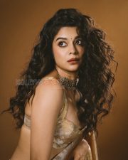 Desirable Mithila Palkar Cleavage in a Gold Silk Saree Photos 10