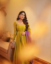 Desirable Nabha Natesh in a Mustard Green Anarkali Dress Photos 01
