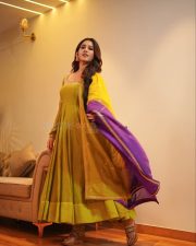 Desirable Nabha Natesh in a Mustard Green Anarkali Dress Photos 02