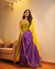 Desirable Nabha Natesh in a Mustard Green Anarkali Dress Photos 03