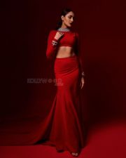 Desirable Pragya Jaiswal Photoshoot Photos 04