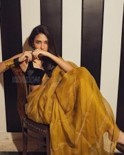 Dreamy Beauty Neha Shetty in a Golden Saree with Black Sleeveless Blouse Photos 04