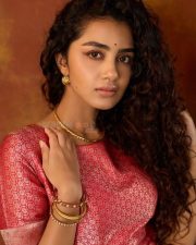 Elegant Actress Anupama Parameswaran in a Pink Brocade Silk Blouse Photos 01