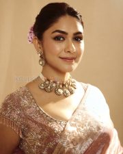 Elegant Actress Mrunal Thakur in a Pink Embroidered Tissue Saree Photos 01 Elegant Actress Mrunal Thakur in a Pink Embroidered Tissue Saree Photos 01