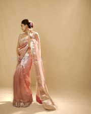Elegant Actress Mrunal Thakur in a Pink Embroidered Tissue Saree Photos 02 Elegant Actress Mrunal Thakur in a Pink Embroidered Tissue Saree Photos 02