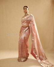 Elegant Actress Mrunal Thakur in a Pink Embroidered Tissue Saree Photos 04 Elegant Actress Mrunal Thakur in a Pink Embroidered Tissue Saree Photos 04