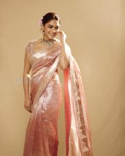 Elegant Actress Mrunal Thakur in a Pink Embroidered Tissue Saree Photos 05 Elegant Actress Mrunal Thakur in a Pink Embroidered Tissue Saree Photos 05