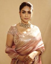 Elegant Actress Mrunal Thakur in a Pink Embroidered Tissue Saree Photos 08 Elegant Actress Mrunal Thakur in a Pink Embroidered Tissue Saree Photos 08
