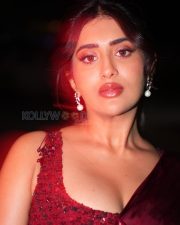 Elegant Actress Rashi Singh in a Deep Red Embroidered Beaded Saree Photos 04