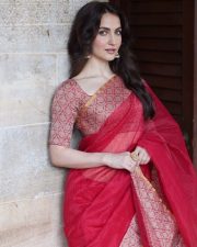 Elegant Elli AvrRam in a Traditional Red and Golden Border Saree Photos 01
