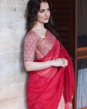 Elegant Elli AvrRam in a Traditional Red and Golden Border Saree Photos 02