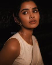 Elegant Heroine Anupama Parameswaran in a Cream Handover Floral Embroidered Saree Photos 03