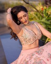 Elegant Pragya Jaiswal in a Regal Blush Pink Embroidered Lehenga Pictures 01