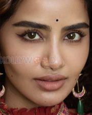 Enchanting Actress Anupama Parameswaran in a Maroon Floral Printed Saree Photos 05
