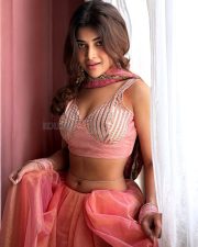 Enchanting Actress Srijita Ghosh in a dusty pink embroidered crop top with matching skirt and gold choker photos 05 Enchanting Actress Srijita Ghosh in a dusty pink embroidered crop top with matching skirt and gold choker photos 05
