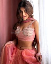 Enchanting Actress Srijita Ghosh in a dusty pink embroidered crop top with matching skirt and gold choker photos 05