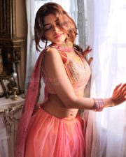 Enchanting Actress Srijita Ghosh in a dusty pink embroidered crop top with matching skirt and gold choker photos 07 Enchanting Actress Srijita Ghosh in a dusty pink embroidered crop top with matching skirt and gold choker photos 07