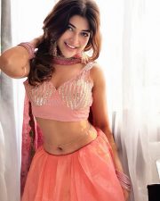 Enchanting Actress Srijita Ghosh in a dusty pink embroidered crop top with matching skirt and gold choker photos 09 Enchanting Actress Srijita Ghosh in a dusty pink embroidered crop top with matching skirt and gold choker photos 09