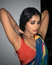 Fiery Hot Anupama Parameswaran in a Colorful Saree Photos 04