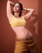 Gajaana Actress Vedhika Kumar in a Yellow Ribbed Crop Top with a Brown Corduroy Pants Photos 04
