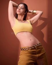 Gajaana Actress Vedhika Kumar in a Yellow Ribbed Crop Top with a Brown Corduroy Pants Photos 04