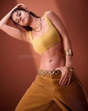 Gajaana Actress Vedhika Kumar in a Yellow Ribbed Crop Top with a Brown Corduroy Pants Photos 05