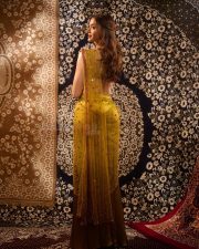 Ghani Heroine Saiee Manjrekar in a Green Red Gold Satin Silk Saree with an Embroidered Sleeveless Blouse Pictures 07