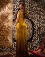 Ghani Heroine Saiee Manjrekar in a Green Red Gold Satin Silk Saree with an Embroidered Sleeveless Blouse Pictures 07