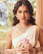 Goddess Beauty Nabha Natesh in a Traditional Saree Sexy Photos 04 Goddess Beauty Nabha Natesh in a Traditional Saree Sexy Photos 04