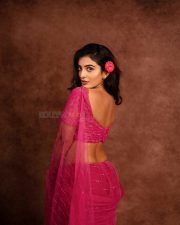 Gorgeous Ananya Nagalla in a Transparent Pink Saree with Matching Blouse Pictures 03