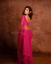Gorgeous Ananya Nagalla in a Transparent Pink Saree with Matching Blouse Pictures 04