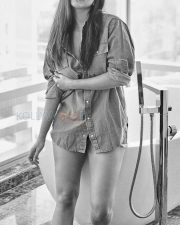 Gorgeous Beauty Nabha Natesh Photoshoot Pictures 08